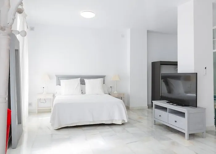 Апартаменты Loft En Primera Linea Del Paseo Maritimo Малага