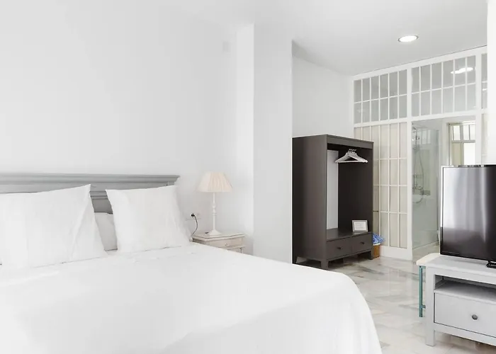 Loft En Primera Linea Del Paseo Maritimo Малага